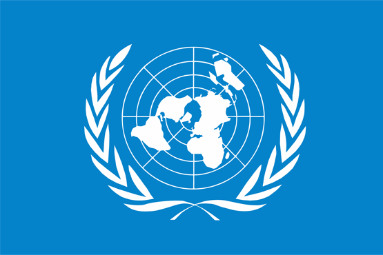 UN WGEID issues statement on  Criminal Laws Amendment Bill 2021