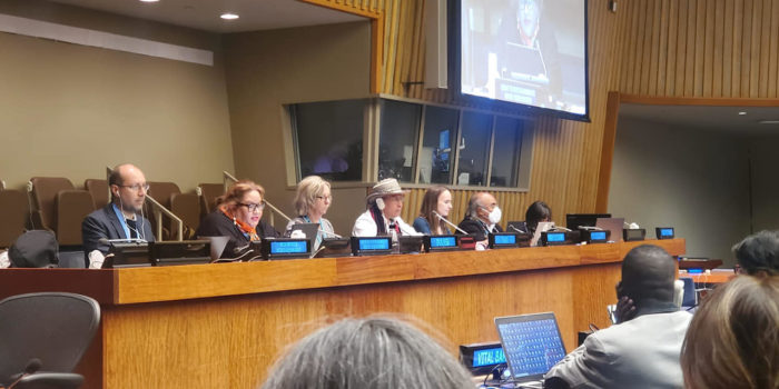 WSC Attends UNPFII in New York